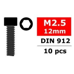 Steel Screws M2. 5 X 12mm Hex Socket Head 10